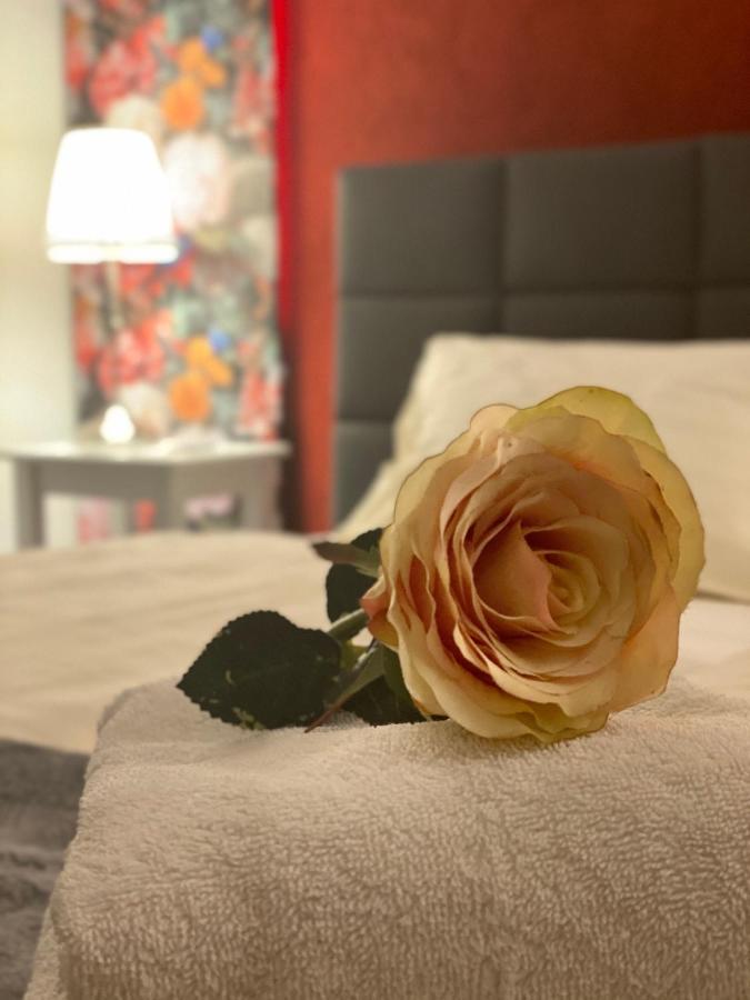 Der Tanzhase Hotel Hasenmoor Luaran gambar